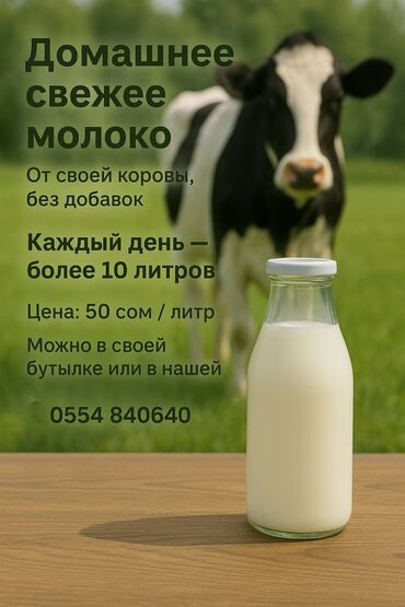 электро мясорубки: 🥛 Натуральное деревенское молоко 🐄 Прямо от нашей коровы, без химии и