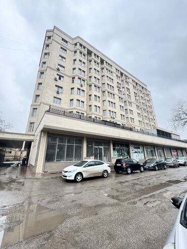 киевская манаса: 3 комнаты, 150 м², Элитка, 10 этаж, ПСО (под самоотделку)