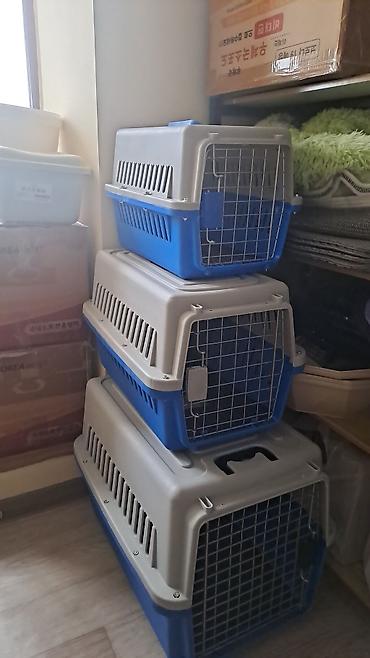 Зоотовары: Зоотовары. животные. Переноска номер 3размер 66.47.46 контейнер для at lalafo.kg — 18 Зоотовары: Зоотовары. животные. Переноска номер 3размер 66.47.46 контейнер для — 18