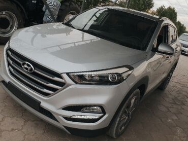 Hyundai: Hyundai Tucson: 2018 г., 2 л, Типтроник, Дизель, Кроссовер