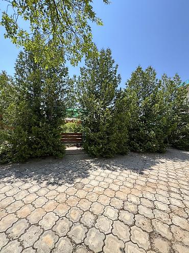 отель ыссык куль: 🏡 ГОТОВЫЙ ГОСТЕВОЙ ДОМ НА ИССЫК-КУЛЕ — ГОТОВЫЙ БИЗНЕС ДЛЯ ПОЛУЧЕНИЯ — 7