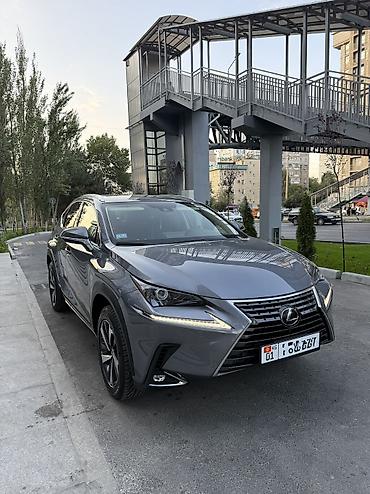 Lexus: Lexus NX: 2020 г., 2.5 л, Вариатор, Гибрид, Кроссовер — 1