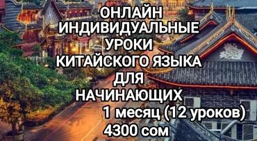 курсы русского языка для взрослых: Языковые курсы Китайский Для взрослых, Для детей