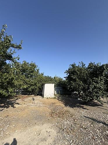 Torpaq sahələrinin satışı: 25 sot, Tikinti, Mülkiyyətçi, Kupça (Çıxarış) — 8