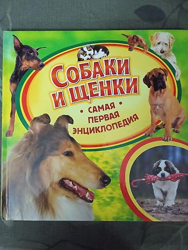 Книга «Собаки и щенки. Самая первая энциклопедия» - Иллюстрированное at lalafo.kg Книга «Собаки и щенки. Самая первая энциклопедия» - Иллюстрированное