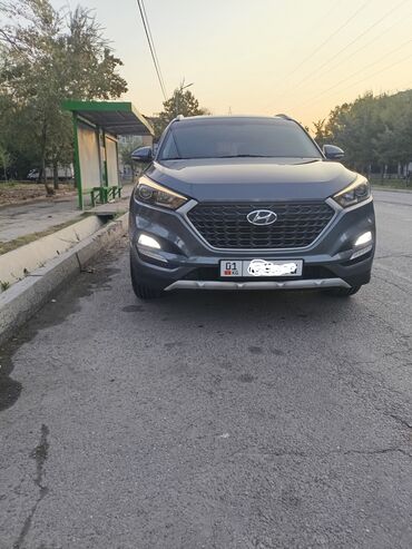 машины джип: Hyundai Tucson: 2017 г., 1.7 л, Автомат, Дизель, Кроссовер