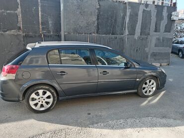 Opel: Opel Signum: 1.9 l | 2006 il 350000 km Hetçbek — 3