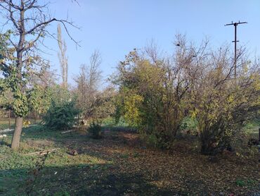 Həyət evləri və villaların satışı: Quba Xacmaz yolundan 50 metr iceri qaz su isiq daimi tecili satilir — 3