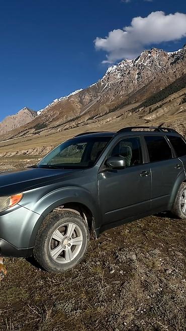 Subaru: Subaru Forester: 2010 г., 2.5 л, Бензин, Кроссовер — 6