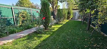 Продажа барачных домов: Продаю дом (барачного типа) с приусадебным участком в тихом — 15