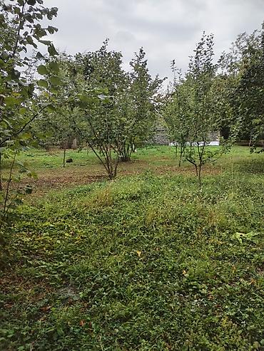 kreditle torpaq sahesi: 31 sot, Tikinti, Kupça (Çıxarış) — 6