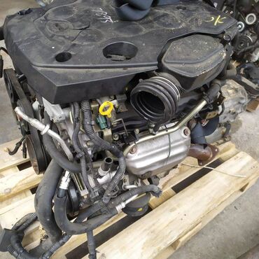 Суппорты: Двигатель NISSAN Fuga Y50 VQ25 2005 (б/у)