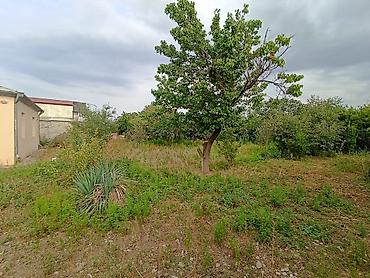 Həyət evləri və villaların satışı: 3 otaqlı, 60 kv. m, Orta təmir — 6