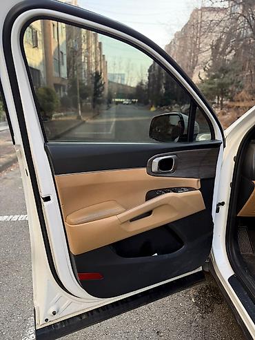 Kia: Kia Sorento: 2022 г., 2.2 л, Дизель — 13