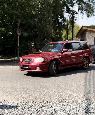 Subaru: Subaru Forester: 2003 г., 2 л, Автомат, Бензин, Универсал — 1