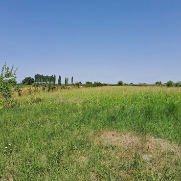 kupçalı torpaq satılır: 178 sot, Kənd təsərrüfatı, Mülkiyyətçi, Kupça (Çıxarış)