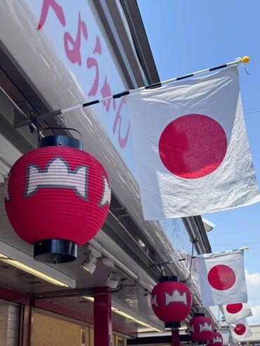 няня со знанием турецкого языка в бишкеке: Тил курстары Жапончо Чоңдор үчүн, Балдар үчүн