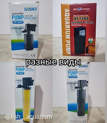 аэратор для рыбы: Аквариумные фильтры. (помпы) 
Разные виды, цены — 2