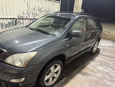 Lexus: Lexus RX: 2003 г., 3.3 л, Автомат, Бензин, Кроссовер — 13