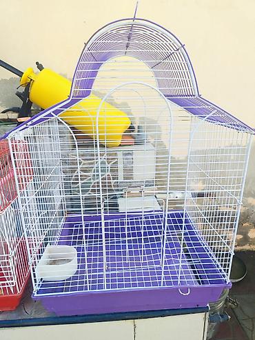 Клетки: Quş qəfəsi – dekorativ tağlı dizayn - Material: metallik ağ məftil — 1