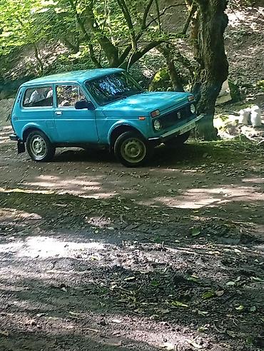 torpaqla barter maşınlar: VAZ (LADA) 4x4 Niva: 1.7 l | 1995 il 230000 km Ofrouder/SUV — 4