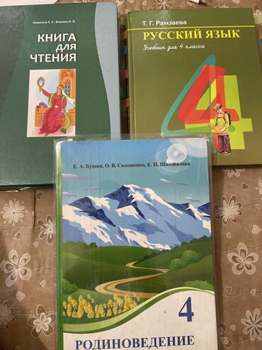 садовые игрушки: Продается книги 4го класса
