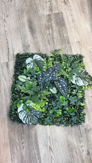 Bağ və bostan üçün digər məhsullar: 19 man baslayan qiymetler — 26