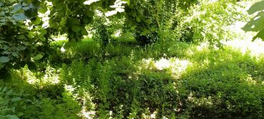 Günlük kirayə evlər: 120 kv. m, 4 otaqlı, Qaz, Su, İnternet -da lalafo.az — 5 Günlük kirayə evlər: 120 kv. m, 4 otaqlı, Qaz, Su, İnternet — 5