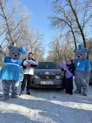 Организация мероприятий: Организация мероприятий | Аниматоры — 5