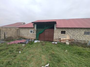 Anbar və emalatxanalar: Ferma/təsərrüfat sahəsi40 baş iri buynuzlu heyvan saxlanılması üçün — 13