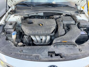 Kia: Kia K5: 2021 г., Седан — 18