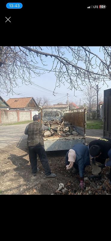 Портеры вывоз мусора вывоз мусора вывоз мусора вывоз мусора вывоз