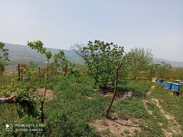 Həyət evləri və villaların satışı: 4 otaqlı, 50 kv. m, Kredit yoxdur, Yeni təmirli -da lalafo.az — 11 Həyət evləri və villaların satışı: 4 otaqlı, 50 kv. m, Kredit yoxdur, Yeni təmirli — 11