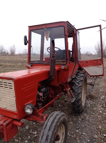 Traktorlar: Traktor Belarus (MTZ) T25, 1986 il, 12345 at gücü, motor 9.9 l, İşlənmiş — 4
