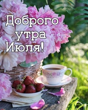 дом в орок: 80 м², 3 комнаты, Сарай
