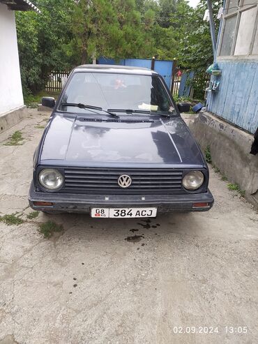 Volkswagen: Volkswagen Golf: 1989 г., 1.6 л, Механика, Бензин