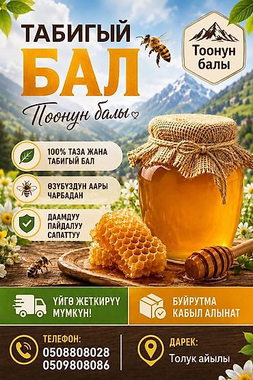 Натуральный горный мёд «Тоонун балы» - 100% чистый, натуральный мёд -