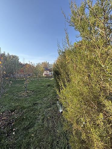 Продажа дачи: 4 комнаты, 200 м², 10 соток, Электричество, Горячая вода, Холодная вода — 15