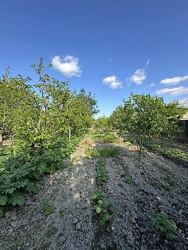 bağça satılır: 18 sot torpağ tam satılırhissə -hissədə satılır razılaşma yolu ilə — 3