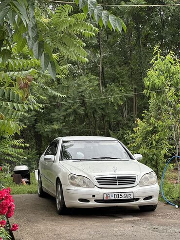 мерс 2000 год: Mercedes-Benz S-Class: 1999 г., 5 л, Типтроник, Бензин, Седан