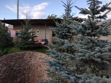 Продажа домов: Дом, 69 м², 5 комнат, Собственник — 6