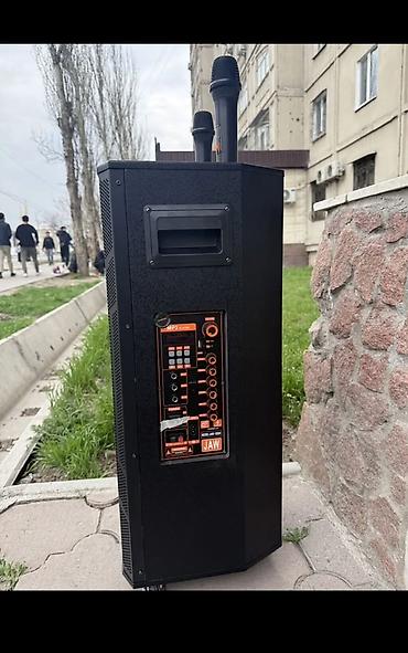 hoco eq34 plus: Аренда колонки 999 в сутки эки микрофону менен — 2