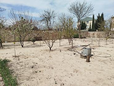 goradil: 10 sot, Tikinti, Maklerlər narahat etməsin, Kupça (Çıxarış) — 4