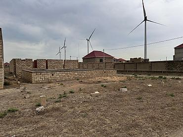 Torpaq: 3 sot, Tikinti, Mülkiyyətçi, Kupça (Çıxarış) — 6