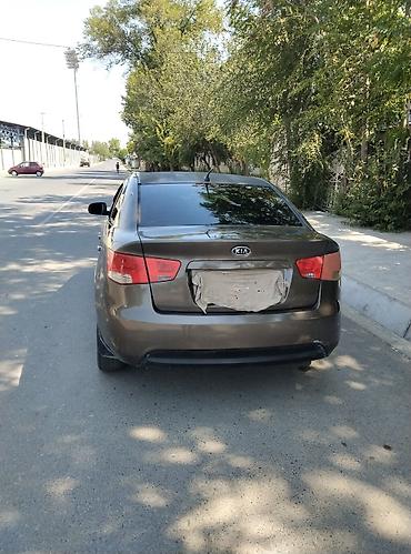 купе 124: Kia Cerato: 2012 г., 1.6 л, Механика, Бензин, Седан — 3