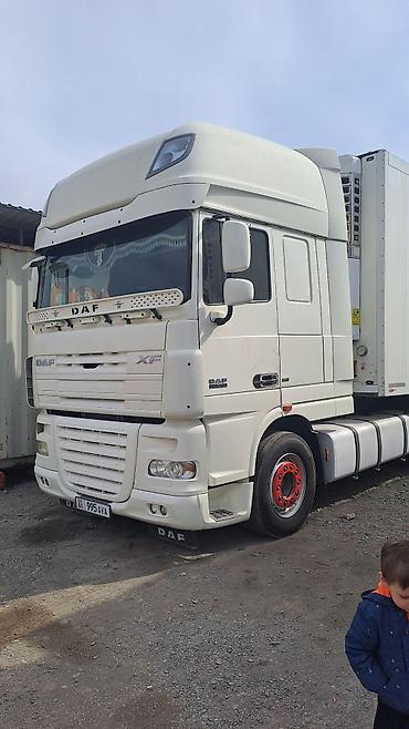 Тягачи: Тягач, DAF, 2008 г., Холодильник, рефрижератор — 20