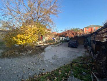 Torpaq sahələrinin satışı: 8 sot, Tikinti, Makler, Kupça (Çıxarış) -da lalafo.az — 4 Torpaq sahələrinin satışı: 8 sot, Tikinti, Makler, Kupça (Çıxarış) — 4