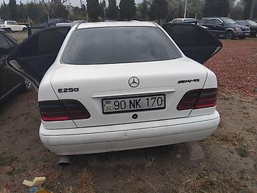 Mercedes-Benz: Mercedes-Benz : 2.5 l | 1996 il — 2