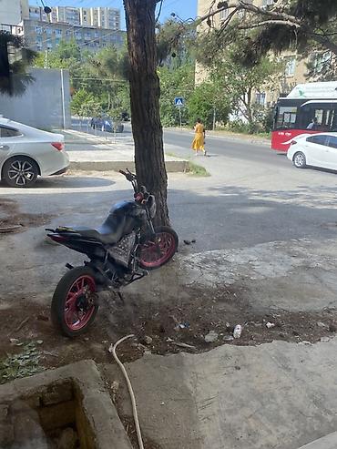 disk qabi: Mototseklet – küçə/naked tərzi, fərdi tüninq - Güclü tək silindrli — 2