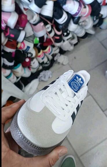 Patike: Adidas Samba patike

Novo
Brojevi 36 do 46

fb Moja Kupovina 1 — 9